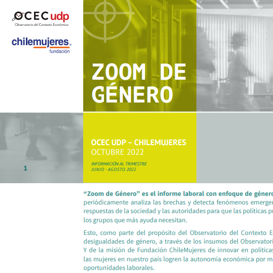 Nuevo Zoom de Género OCEC UDP: Chile Mujeres evidencia que 90% de trabajadoras/es por cuenta propia no cotiza para su pensión