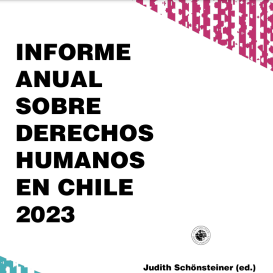 UDP presenta Informe sobre Derechos Humanos 2023: evalúa proyecto constitucional, agenda de seguridad y reforma de salud, entre otras materias